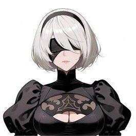 2B-NieR: Automata