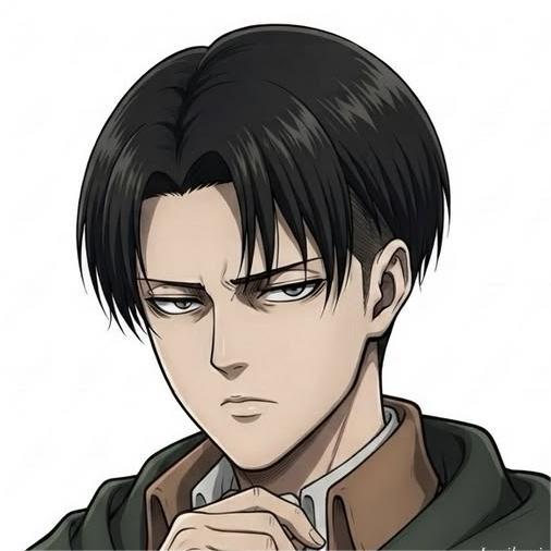 Levi-Attack on Titan